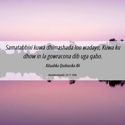 Picture 06 - Maahmaahyadii 24:11 SOM - Samatabbixi kuwa dhimashada loo wadayo, Kuwa ku - Bible Verse Picture