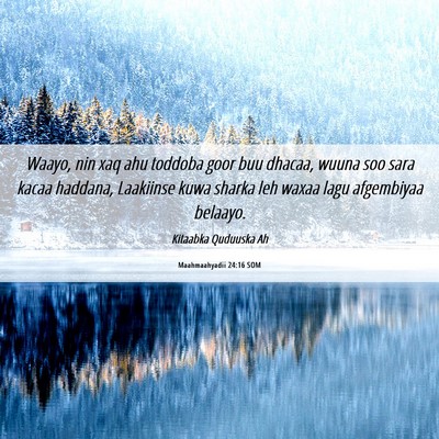 Picture 06 - Maahmaahyadii 24:16 SOM - Waayo, nin xaq ahu toddoba goor buu dhacaa, wuuna - Bible Verse Picture