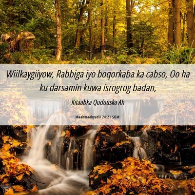 Picture 06 - Maahmaahyadii 24:21 SOM - Wiilkaygiiyow, Rabbiga iyo boqorkaba ka cabso, Oo - Bible Verse Picture