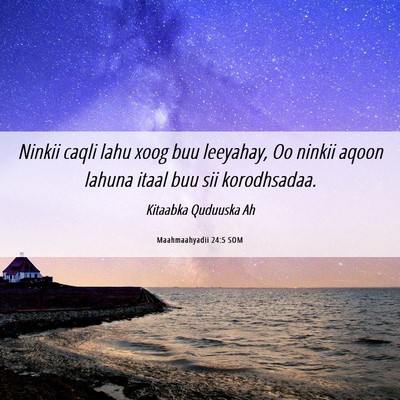 Picture 06 - Maahmaahyadii 24:5 SOM - Ninkii caqli lahu xoog buu leeyahay, Oo ninkii - Bible Verse Picture