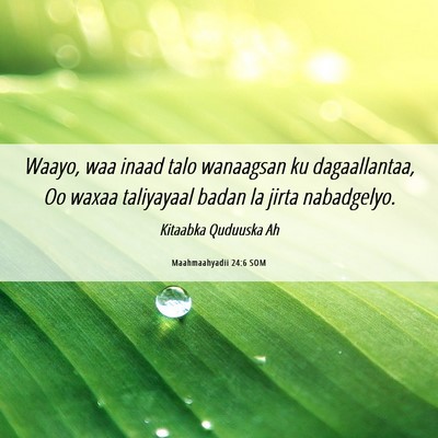 Picture 06 - Maahmaahyadii 24:6 SOM - Waayo, waa inaad talo wanaagsan ku dagaallantaa, - Bible Verse Picture