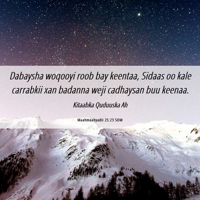Picture 06 - Maahmaahyadii 25:23 SOM - Dabaysha woqooyi roob bay keentaa, Sidaas oo kale - Bible Verse Picture