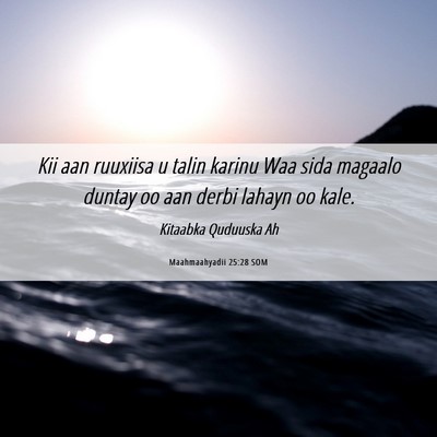 Picture 06 - Maahmaahyadii 25:28 SOM - Kii aan ruuxiisa u talin karinu Waa sida magaalo - Bible Verse Picture