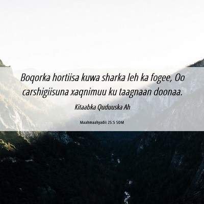 Picture 06 - Maahmaahyadii 25:5 SOM - Boqorka hortiisa kuwa sharka leh ka fogee, Oo - Bible Verse Picture