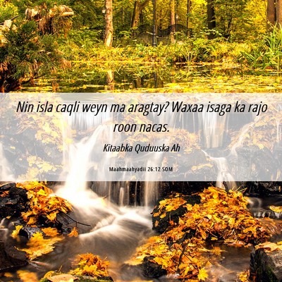 Picture 06 - Maahmaahyadii 26:12 SOM - Nin isla caqli weyn ma aragtay? Waxaa isaga ka - Bible Verse Picture