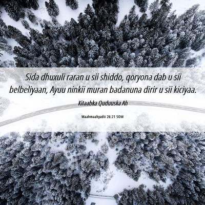 Picture 06 - Maahmaahyadii 26:21 SOM - Sida dhuxuli raran u sii shiddo, qoryona dab u - Bible Verse Picture