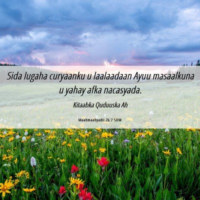 Picture 06 - Maahmaahyadii 26:7 SOM - Sida lugaha curyaanku u laalaadaan Ayuu - Bible Verse Picture
