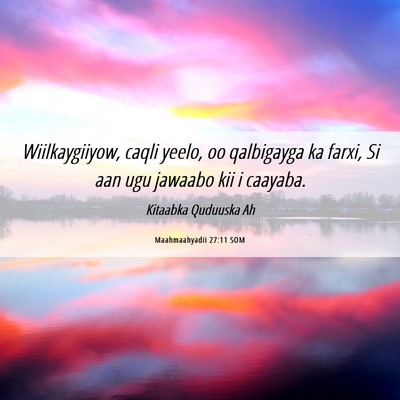 Picture 06 - Maahmaahyadii 27:11 SOM - Wiilkaygiiyow, caqli yeelo, oo qalbigayga ka - Bible Verse Picture