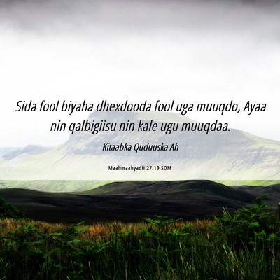 Picture 06 - Maahmaahyadii 27:19 SOM - Sida fool biyaha dhexdooda fool uga muuqdo, Ayaa - Bible Verse Picture