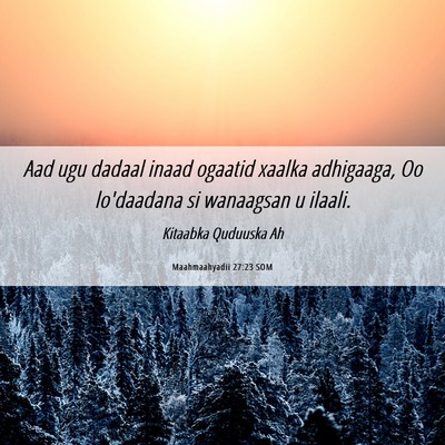 Picture 06 - Maahmaahyadii 27:23 SOM - Aad ugu dadaal inaad ogaatid xaalka adhigaaga, Oo - Bible Verse Picture
