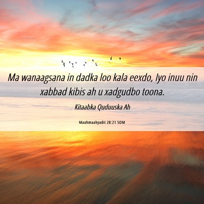 Picture 06 - Maahmaahyadii 28:21 SOM - Ma wanaagsana in dadka loo kala eexdo, Iyo inuu - Bible Verse Picture