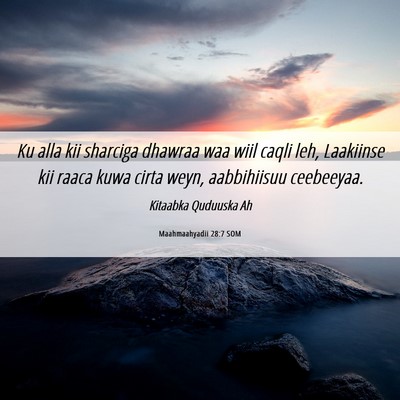 Picture 06 - Maahmaahyadii 28:7 SOM - Ku alla kii sharciga dhawraa waa wiil caqli leh, - Bible Verse Picture