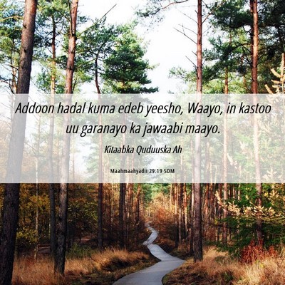 Picture 06 - Maahmaahyadii 29:19 SOM - Addoon hadal kuma edeb yeesho, Waayo, in kastoo - Bible Verse Picture
