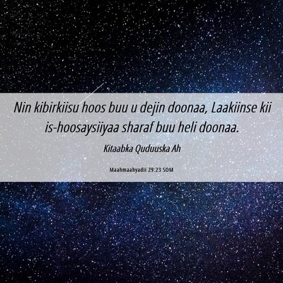 Picture 06 - Maahmaahyadii 29:23 SOM - Nin kibirkiisu hoos buu u dejin doonaa, Laakiinse - Bible Verse Picture