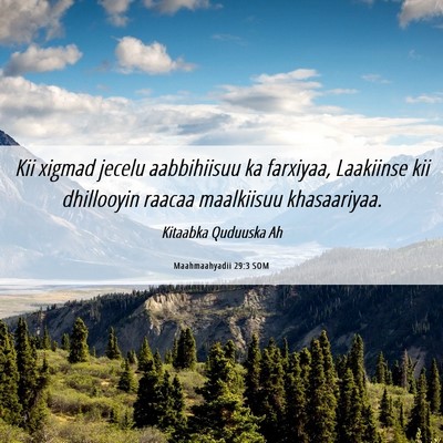 Picture 06 - Maahmaahyadii 29:3 SOM - Kii xigmad jecelu aabbihiisuu ka farxiyaa, - Bible Verse Picture