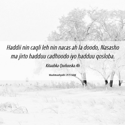 Picture 06 - Maahmaahyadii 29:9 SOM - Haddii nin caqli leh nin nacas ah la doodo, - Bible Verse Picture