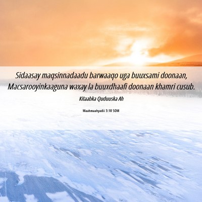 Picture 06 - Maahmaahyadii 3:10 SOM - Sidaasay maqsinnadaadu barwaaqo uga buuxsami - Bible Verse Picture