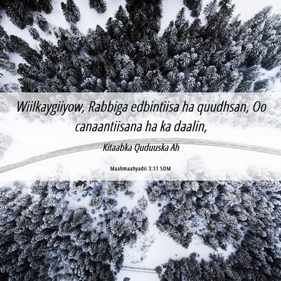 Picture 06 - Maahmaahyadii 3:11 SOM - Wiilkaygiiyow, Rabbiga edbintiisa ha quudhsan, Oo - Bible Verse Picture