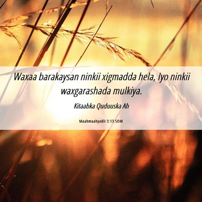 Picture 06 - Maahmaahyadii 3:13 SOM - Waxaa barakaysan ninkii xigmadda hela, Iyo ninkii - Bible Verse Picture