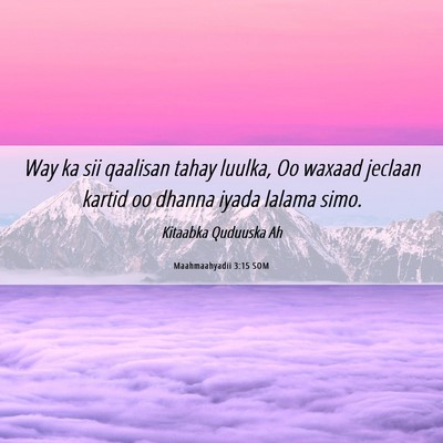 Picture 06 - Maahmaahyadii 3:15 SOM - Way ka sii qaalisan tahay luulka, Oo waxaad - Bible Verse Picture