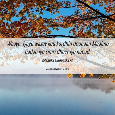 Picture 06 - Maahmaahyadii 3:2 SOM - Waayo, iyagu waxay kuu kordhin doonaan Maalmo - Bible Verse Picture