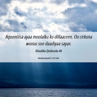 Picture 06 - Maahmaahyadii 3:20 SOM - Aqoontiisa ayaa moolalku ku dillaaceen, Oo - Bible Verse Picture
