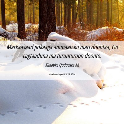 Picture 06 - Maahmaahyadii 3:23 SOM - Markaasaad jidkaaga ammaan ku mari doontaa, Oo - Bible Verse Picture