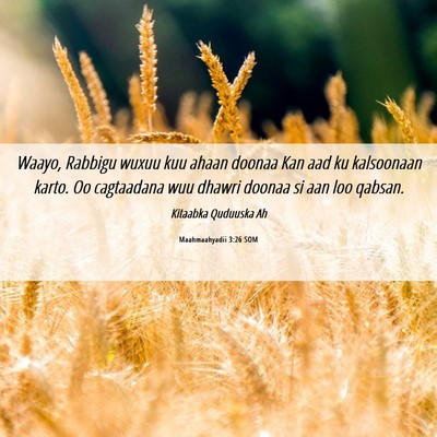 Picture 06 - Maahmaahyadii 3:26 SOM - Waayo, Rabbigu wuxuu kuu ahaan doonaa Kan aad ku - Bible Verse Picture