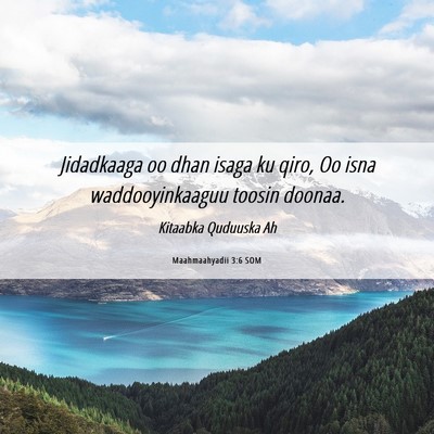 Picture 06 - Maahmaahyadii 3:6 SOM - Jidadkaaga oo dhan isaga ku qiro, Oo isna - Bible Verse Picture