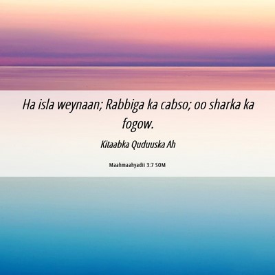 Picture 06 - Maahmaahyadii 3:7 SOM - Ha isla weynaan; Rabbiga ka cabso; oo sharka ka - Bible Verse Picture