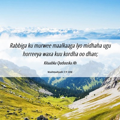 Picture 06 - Maahmaahyadii 3:9 SOM - Rabbiga ku murwee maalkaaga Iyo midhaha ugu - Bible Verse Picture