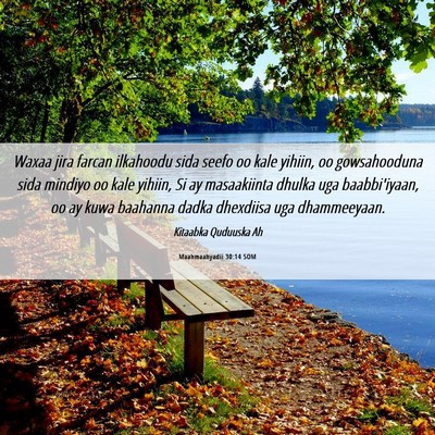 Picture 06 - Maahmaahyadii 30:14 SOM - Waxaa jira farcan ilkahoodu sida seefo oo kale - Bible Verse Picture