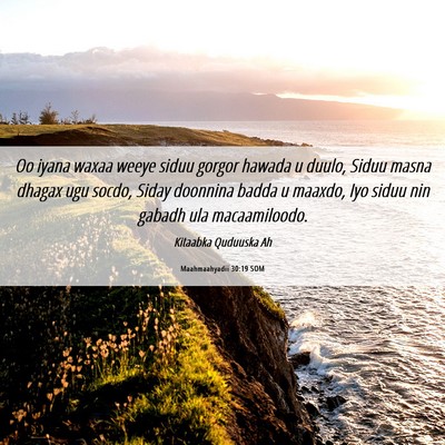 Picture 06 - Maahmaahyadii 30:19 SOM - Oo iyana waxaa weeye siduu gorgor hawada u duulo, - Bible Verse Picture