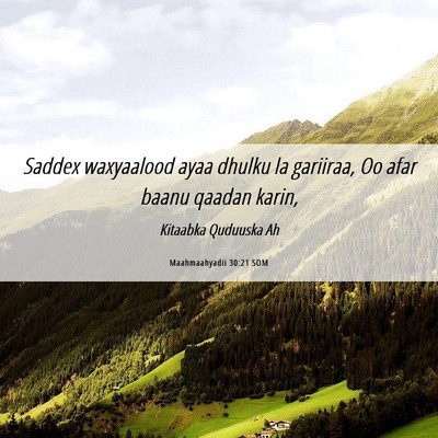 Picture 06 - Maahmaahyadii 30:21 SOM - Saddex waxyaalood ayaa dhulku la gariiraa, Oo - Bible Verse Picture