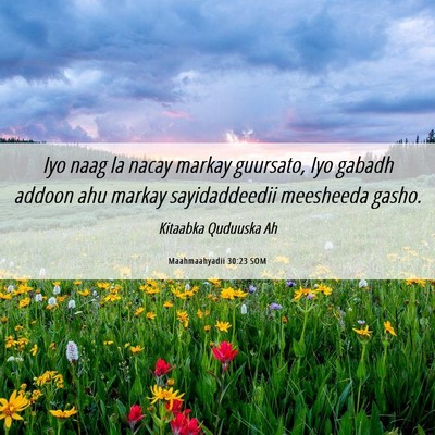 Picture 06 - Maahmaahyadii 30:23 SOM - Iyo naag la nacay markay guursato, Iyo gabadh - Bible Verse Picture