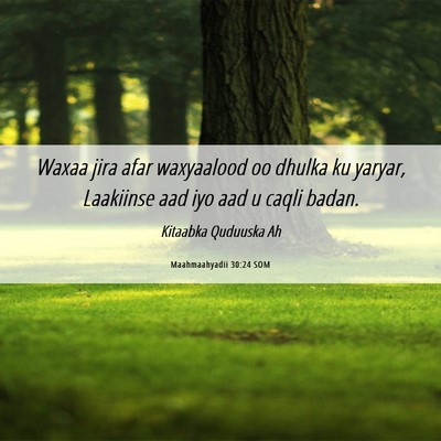 Picture 06 - Maahmaahyadii 30:24 SOM - Waxaa jira afar waxyaalood oo dhulka ku yaryar, - Bible Verse Picture