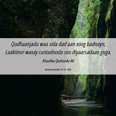 Picture 06 - Maahmaahyadii 30:25 SOM - Qudhaanjadu waa sida dad aan xoog badnayn, - Bible Verse Picture