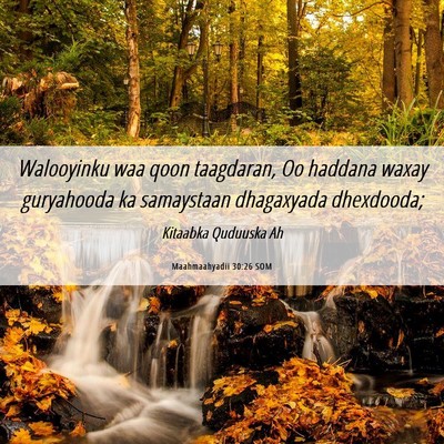 Picture 06 - Maahmaahyadii 30:26 SOM - Walooyinku waa qoon taagdaran, Oo haddana waxay - Bible Verse Picture