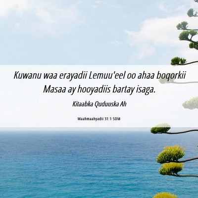 Picture 06 - Maahmaahyadii 31:1 SOM - Kuwanu waa erayadii Lemuu'eel oo ahaa boqorkii - Bible Verse Picture