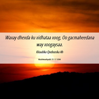 Picture 06 - Maahmaahyadii 31:17 SOM - Waxay dhexda ku xidhataa xoog, Oo gacmaheedana - Bible Verse Picture