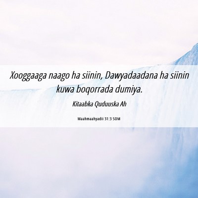 Picture 06 - Maahmaahyadii 31:3 SOM - Xooggaaga naago ha siinin, Dawyadaadana ha siinin - Bible Verse Picture