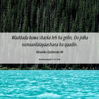 Picture 06 - Maahmaahyadii 4:14 SOM - Waddada kuwa sharka leh ha gelin, Oo jidka - Bible Verse Picture