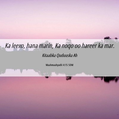 Picture 06 - Maahmaahyadii 4:15 SOM - Ka leexo, hana marin, Ka noqo oo hareer ka - Bible Verse Picture