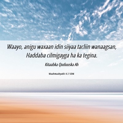 Picture 06 - Maahmaahyadii 4:2 SOM - Waayo, anigu waxaan idin siiyaa tacliin - Bible Verse Picture