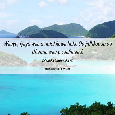 Picture 06 - Maahmaahyadii 4:22 SOM - Waayo, iyagu waa u nolol kuwa hela, Oo jidhkooda - Bible Verse Picture
