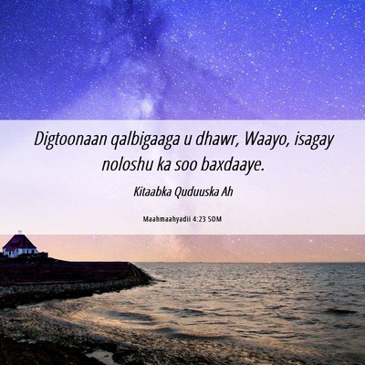 Picture 06 - Maahmaahyadii 4:23 SOM - Digtoonaan qalbigaaga u dhawr, Waayo, isagay - Bible Verse Picture