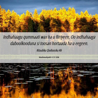 Picture 06 - Maahmaahyadii 4:25 SOM - Indhahaagu qummaati wax ha u fiiriyeen, Oo - Bible Verse Picture