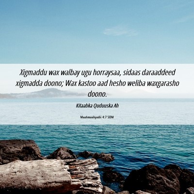 Picture 06 - Maahmaahyadii 4:7 SOM - Xigmaddu wax walbay ugu horraysaa, sidaas - Bible Verse Picture