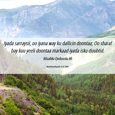 Picture 06 - Maahmaahyadii 4:8 SOM - Iyada sarraysii, oo iyana way ku dallicin - Bible Verse Picture