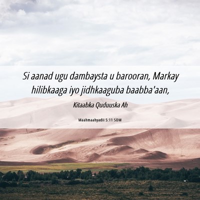 Picture 06 - Maahmaahyadii 5:11 SOM - Si aanad ugu dambaysta u barooran, Markay - Bible Verse Picture
